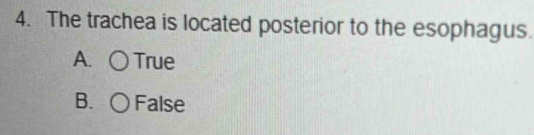 The trachea is located posterior to the esophagus.
A. True
B. False