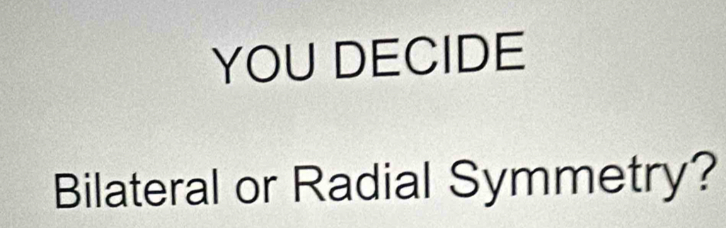 YOU DECIDE 
Bilateral or Radial Symmetry?