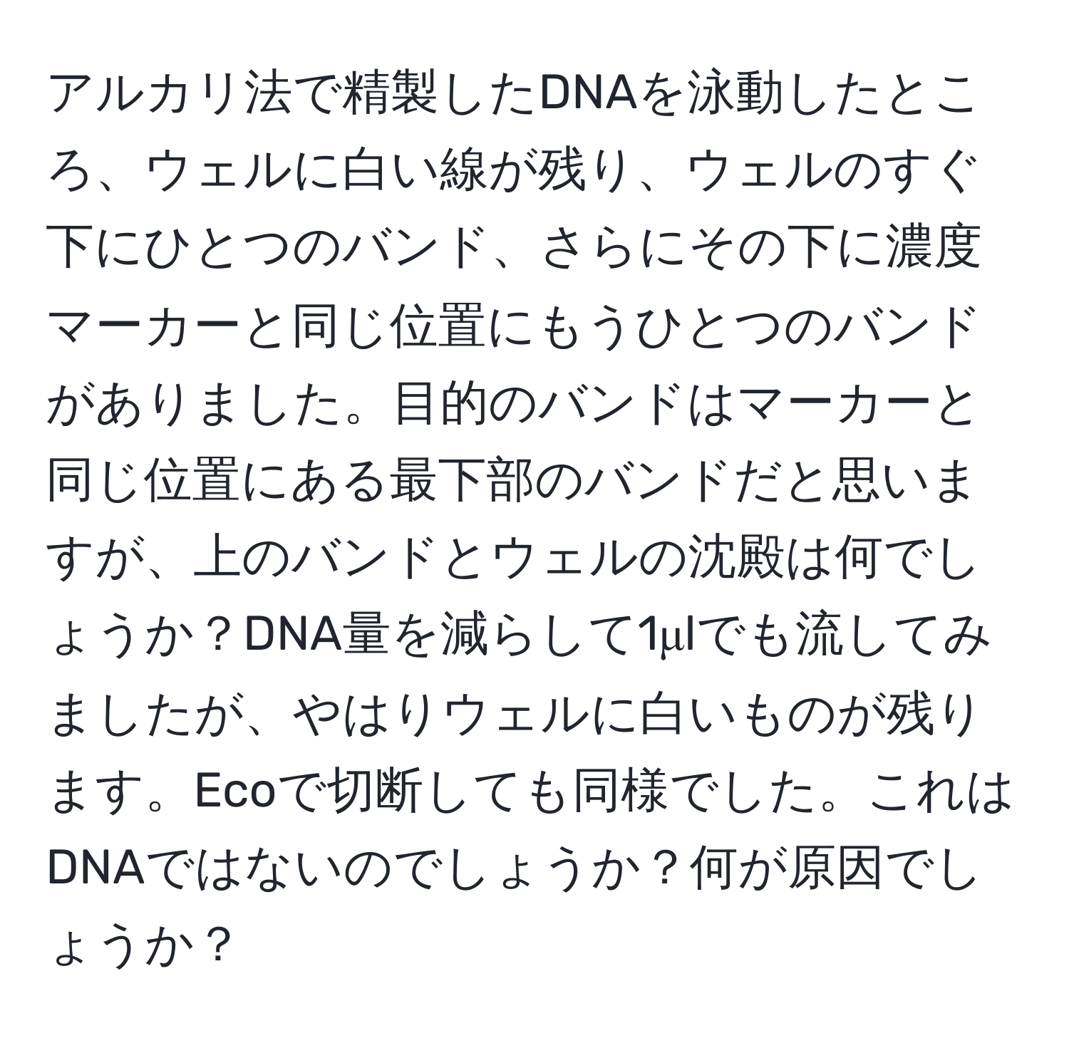 アルカリ法で精製したDNAを泳動したところ、ウェルに白い線が残り、ウェルのすぐ下にひとつのバンド、さらにその下に濃度マーカーと同じ位置にもうひとつのバンドがありました。目的のバンドはマーカーと同じ位置にある最下部のバンドだと思いますが、上のバンドとウェルの沈殿は何でしょうか？DNA量を減らして1μlでも流してみましたが、やはりウェルに白いものが残ります。Ecoで切断しても同様でした。これはDNAではないのでしょうか？何が原因でしょうか？