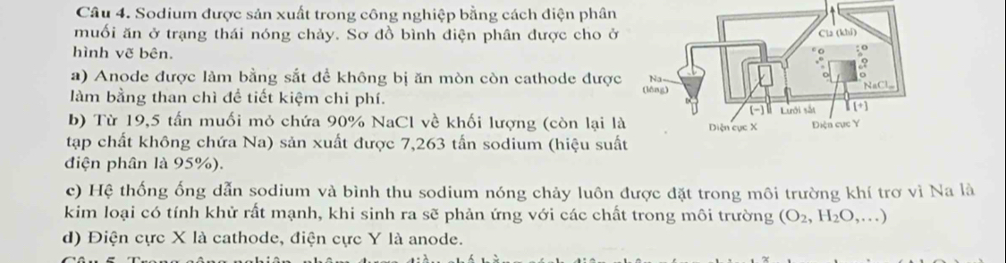 Sodium được sản xuất trong công nghiệp bằng cách điện phân 
muối ăn ở trạng thái nóng chảy. Sơ đồ bình điện phân được cho ở 
hình vẽ bên. 
a) Anode được làm bằng sắt để không bị ăn mòn còn cathode được 
làm bằng than chì đề tiết kiệm chi phí. 
b) Từ 19, 5 tấn muối mỏ chứa 90% NaCl về khối lượng (còn lại là 
tập chất không chứa Na) sản xuất được 7,263 tấn sodium (hiệu suấ 
diện phân là 95%). 
c) Hệ thống ống dẫn sodium và bình thu sodium nóng chảy luôn được đặt trong môi trường khí trơ vì Na là 
kim loại có tính khử rất mạnh, khi sinh ra sẽ phản ứng với các chất trong môi trường (O_2,H_2O,...)
d) Điện cực X là cathode, điện cực Y là anode.