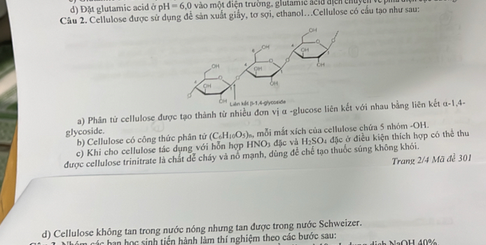 Đặt glutamic acid ở pH=6,0 vào một điện trường, glutamie acid địễn chuyen về
Câu 2. Cellulose được sử dụng để sản xuất giấy, tơ sợi, ethanol...Cellulose có cầu tạo như sau:
a) Phân tử cellulose được tạo thành từ nhiều đơn vị α -glucose liên kết với nhau bằng liên kết α-1,4-
glycoside.
b) Cellulose có công thức phân tử (C_6H_10O_5)_n, mỗi mắt xích của cellulose chứa 5 nhóm -OH.
c) Khi cho cellulose tác dụng với hỗn hợp HNO )_3 đặc và H_2SO 4 đặc ở điều kiện thích hợp có thể thu
được cellulose trinitrate là chất dể cháy và nổ mạnh, dùng để chế tạo thuốc súng không khói.
Trang 2/4 Mã đề 301
d) Cellulose không tan trong nước nóng nhưng tan được trong nước Schweizer.
ác han học sinh tiền hành làm thí nghiệm theo các bước sau: