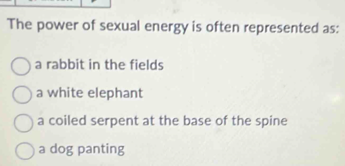 The power of sexual energy is often represented as:
a rabbit in the fields
a white elephant
a coiled serpent at the base of the spine
a dog panting