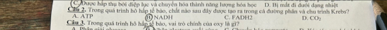 C. Được hấp thụ bởi điệp lục và chuyển hóa thành năng lượng hóa học D. Bị mắt đi dưới dạng nhiệt
Cầu 2. Trong quá trình hồ háp tế bào, chất nào sau đây được tạo ra trong cả đường phân và chu trình Krebs?
A. ATP B) NADH C. FADH2 D. CO_2
Cầu 3. Trong quá trình hô hấp tễ bảo, vai trò chính của oxy là gì?