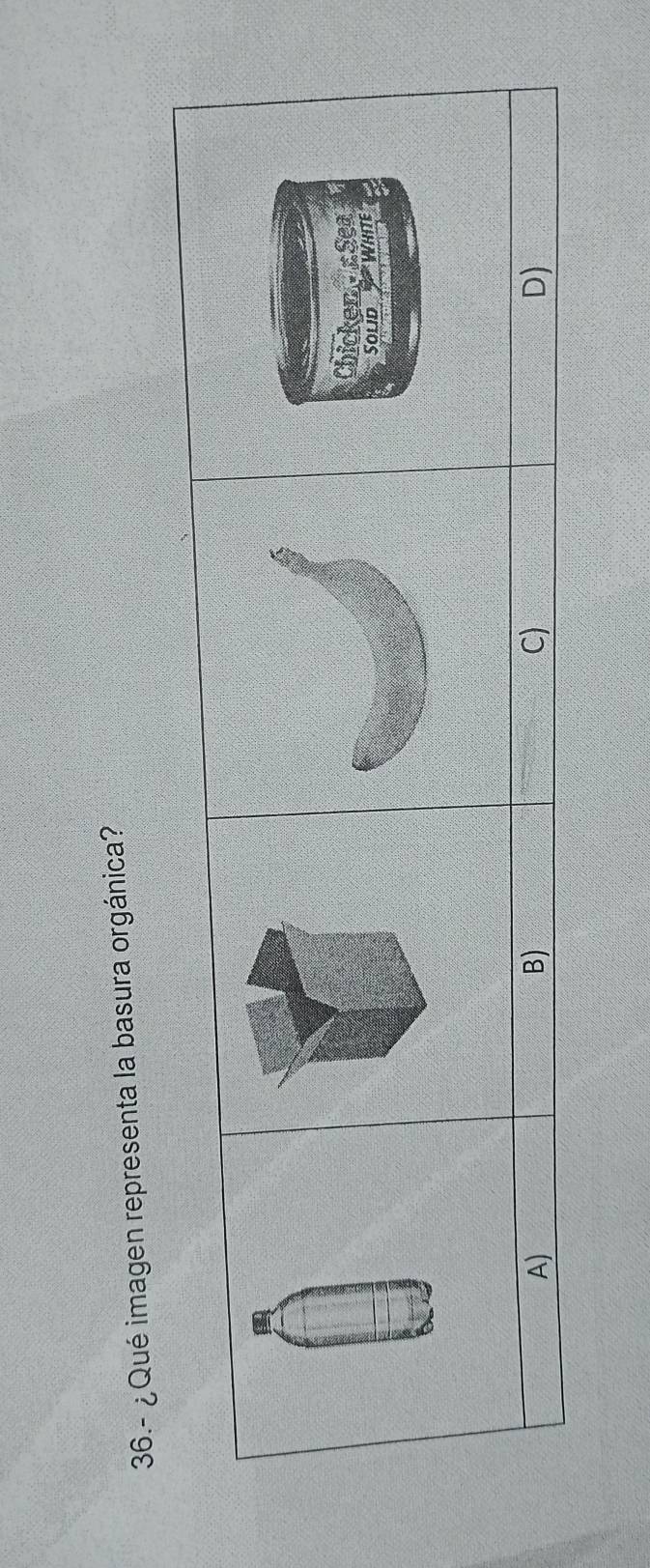 36.- ¿Qué imagen representa la basura orgánica?
Chicken - Sea
Solid White
A)
B)
C)
D)