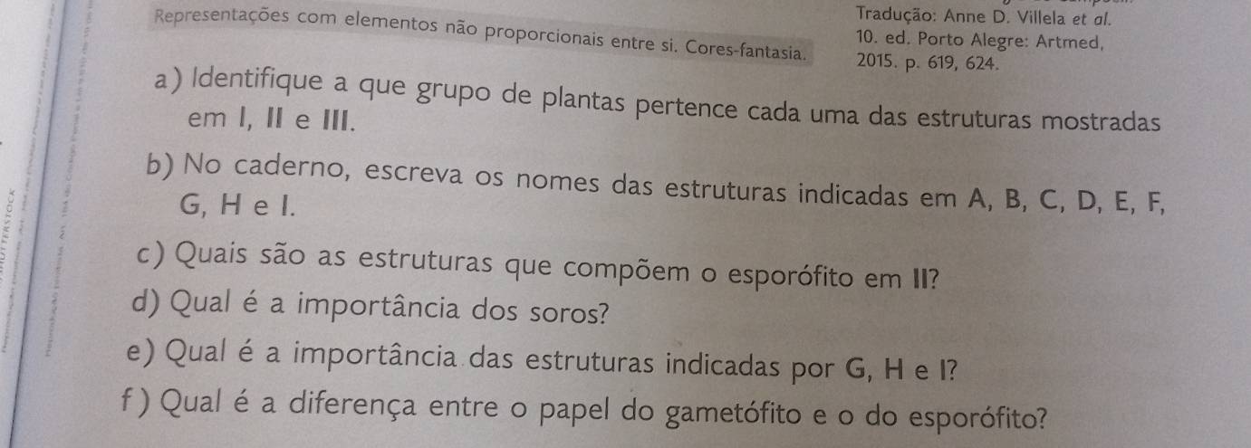 Tradução: Anne D. Villela et al. 
Representações com elementos não proporcionais entre si. Cores-fantasia. 2015. p. 619, 624. 
10. ed. Porto Alegre: Artmed, 
a) Identifique a que grupo de plantas pertence cada uma das estruturas mostradas 
em I, I e III. 
b) No caderno, escreva os nomes das estruturas indicadas em A, B, C, D, E, F, 
G, H e I. 
c) Quais são as estruturas que compõem o esporófito em II? 
d) Qual é a importância dos soros? 
e) Qual é a importância das estruturas indicadas por G, H e I? 
f ) Qual é a diferença entre o papel do gametófito e o do esporófito?