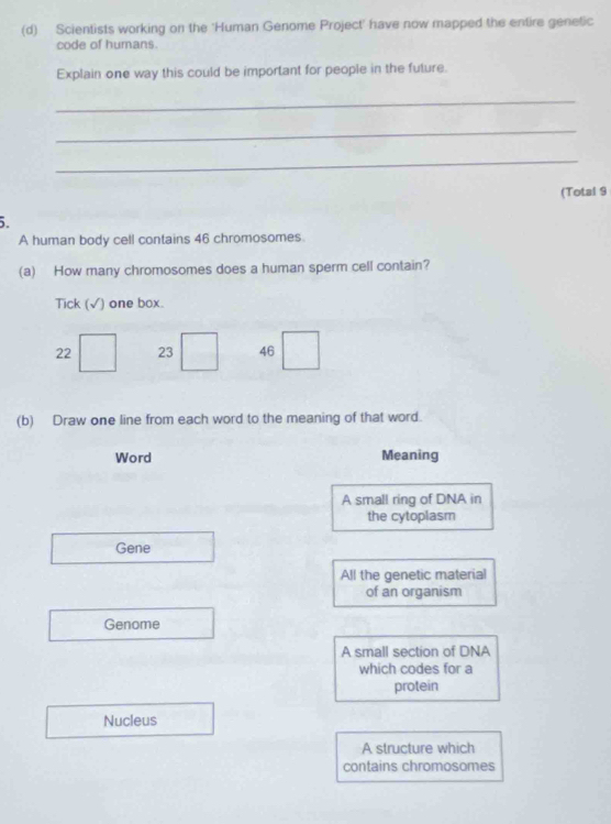 Scientists working on the 'Human Genome Project' have now mapped the entire genetic
code of humans.
Explain one way this could be important for people in the future.
_
_
_
(Total 9
5.
A human body cell contains 46 chromosomes.
(a) How many chromosomes does a human sperm cell contain?
Tick (√) one box.
22 23 46
(b) Draw one line from each word to the meaning of that word.
Word Meaning
A small ring of DNA in
the cytoplasm
Gene
All the genetic material
of an organism
Genome
A small section of DNA
which codes for a
protein
Nucleus
A structure which
contains chromosomes