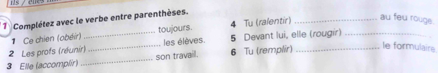 iIs enes 
* 1 Complétez avec le verbe entre parenthèses. 
1 Ce chien (obéir) toujours. 4 Tu (ralentir)_ 
au feu rouge. 
2 Les profs (réunir)_ _les élèves. 5 Devant lui, elle (rougir)_ 
3 Elle (accomplir) _son travail. 6 Tu (remplir)_ 
le formulaire