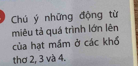 Chú ý những động từ 
miêu tả quá trình lớn lên 
của hạt mầm ở các khổ 
thơ 2, 3 và 4.