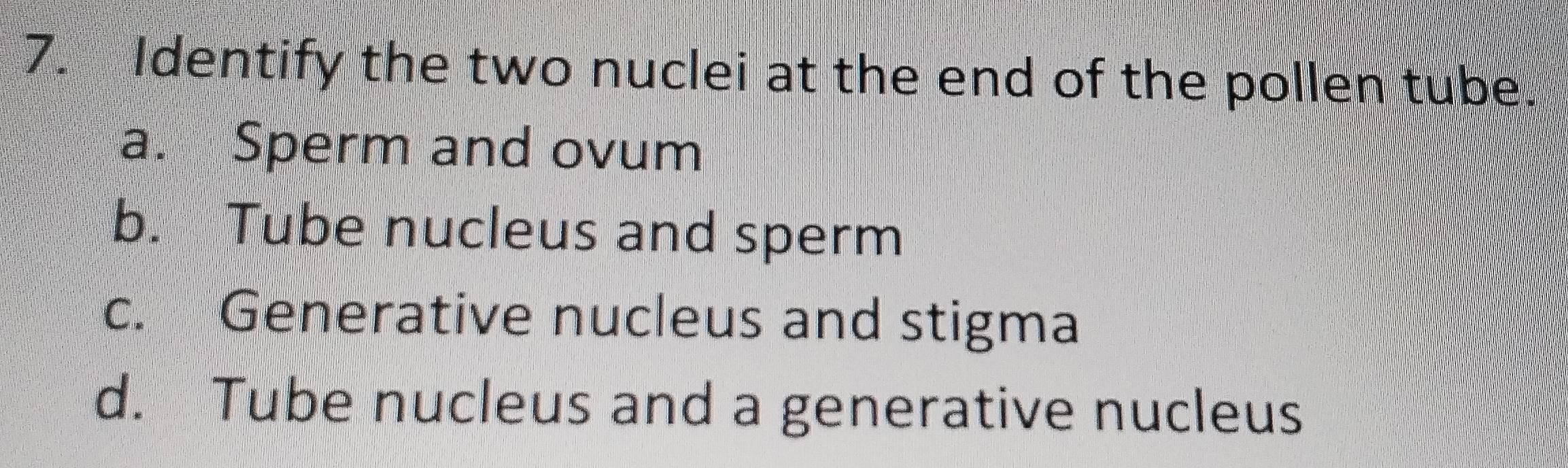 Identify the two nuclei at the end of the pollen tube
a. Sperm and ovum
b. Tube nucleus and sperm
c. Generative nucleus and stigma
d. Tube nucleus and a generative nucleus