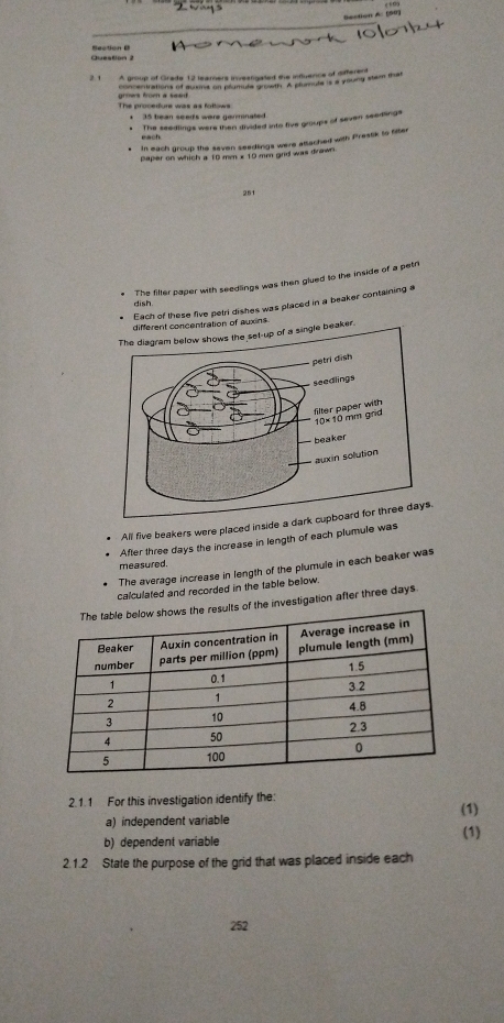 (50) 
Question 2 Bection B 
2. 1 A group of Grade 12 leamers inveetgated the influence of sifferent 
grows fromn a sead concentrations of sue on plumule growth. A plumule is a young stem that 
The procedure was as follows: 35 bean seets were nermnated 
* The seedlings were then divided into five groups of seven seedings 
each 
* In each group the seven seedlings were attached with Pressik to fifter 
paper on which a 10 mm x 19 mm gnd was drawn
251
The filter paper with seedlings was then glued to the inside of a petr 
Each of these five petri dishes was placed in a beaker containing a 
dish. 
different concentration of auxins 
hows the set-up of a single beaker. 
All five beakers were placed inside a dark cupboard foys. 
After three days the increase in length of each plumule was 
measured. 
The average increase in length of the plumule in each beaker was 
calculated and recorded in the table below. 
ation after three days. 
2.1.1 For this investigation identify the: 
a) independent variable (1) 
b) dependent variable (1) 
2.1.2 State the purpose of the grid that was placed inside each 
252