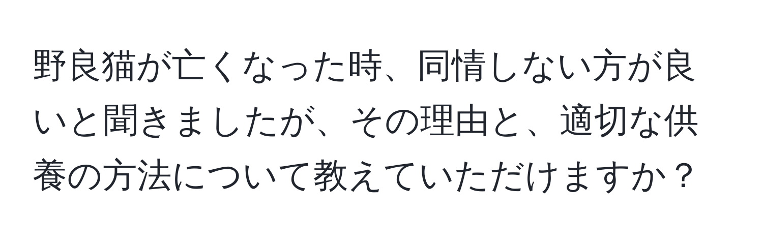 野良猫が亡くなった時、同情しない方が良いと聞きましたが、その理由と、適切な供養の方法について教えていただけますか？