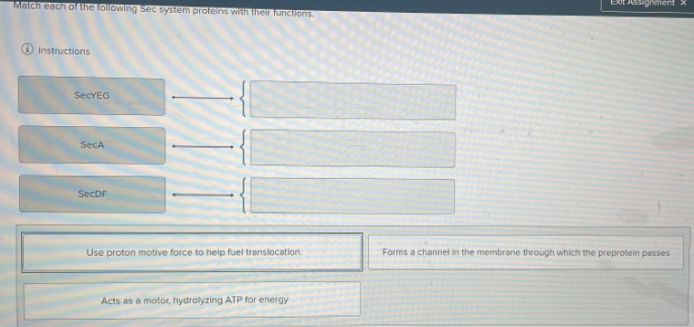 exit Assignment x
Match each of the following Sec system proteins with their functions.
Instructions
SecYEG
SecA
SecDr
Use proton motive force to help fuel translocation. Forms a channel in the membrane through which the preprotein passes
Acts as a motor, hydrolyzing ATP for energy