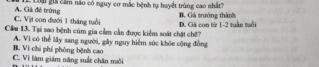 Loại gia căm nào có nguy cơ mắc bệnh tụ huyết trùng cao nhất?
A. Gà đẻ trứng
B. Gà trưởng thành
C. Vịt con dưới 1 tháng tuổi
D. Gà con từ 1-2 tuần tuổi
Câu 13. Tại sao bệnh cúm gia cầm cần được kiểm soát chặt chẽ?
A. Vì có thể lây sang người, gây nguy hiểm sức khỏe cộng đồng
B. Vì chi phí phòng bệnh cao
C. Vì làm giảm năng suất chăn nuôi