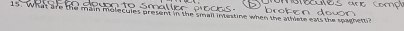 are the main molecules present in the small intestine when the athlete eats the spaghett