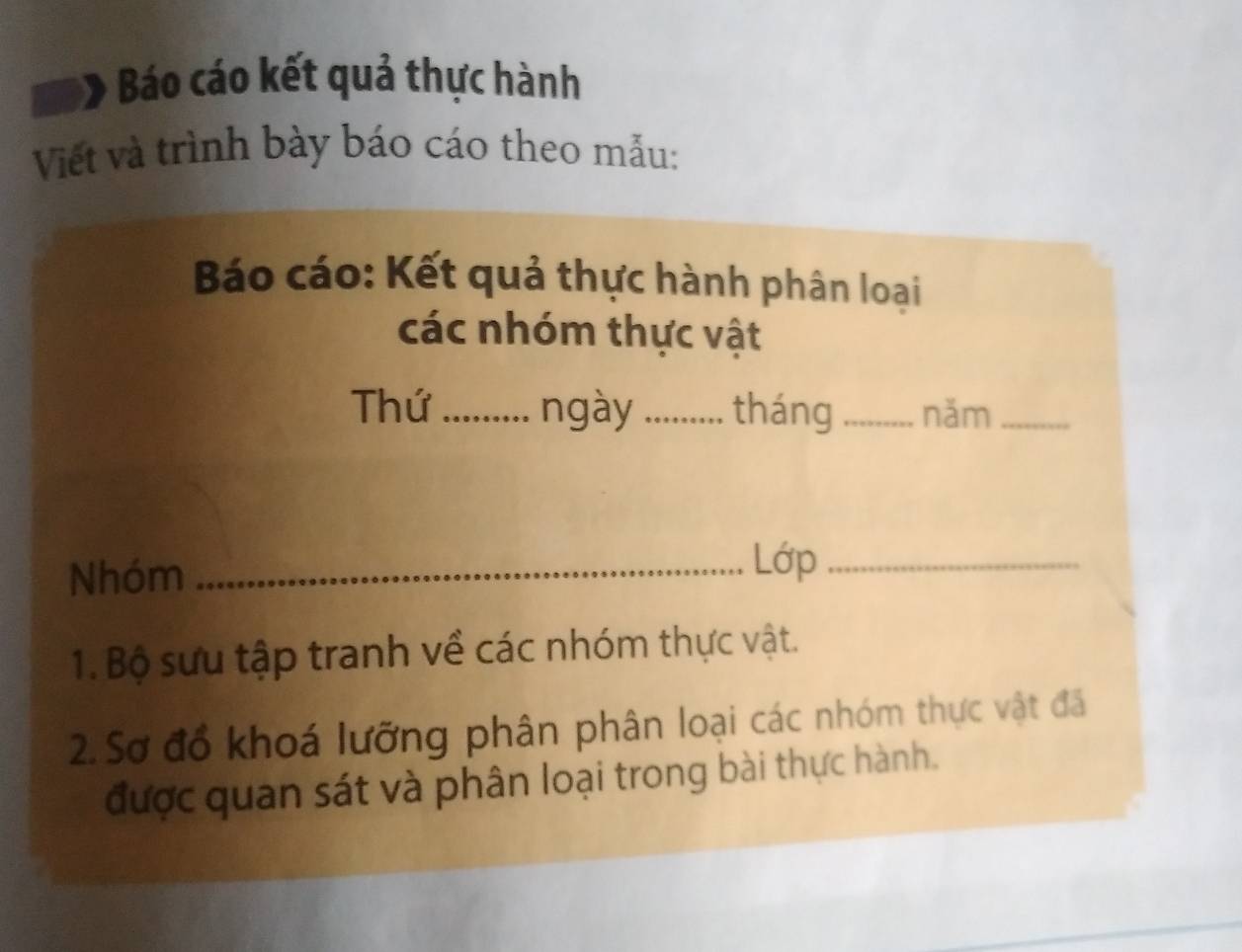 Báo cáo kết quả thực hành 
Viết và trình bày báo cáo theo mẫu: 
Báo cáo: Kết quả thực hành phân loại 
các nhóm thực vật 
Thứ _ngày _tháng _năm_ 
Nhóm_ 
Lớp_ 
1. Bộ sưu tập tranh về các nhóm thực vật. 
2. Sơ đổ khoá lưỡng phân phân loại các nhóm thực vật đã 
được quan sát và phân loại trong bài thực hành.