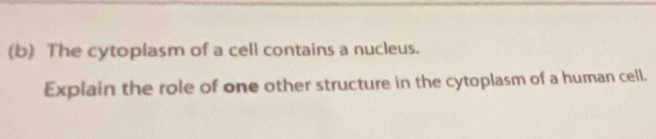 The cytoplasm of a cell contains a nucleus. 
Explain the role of one other structure in the cytoplasm of a human cell.