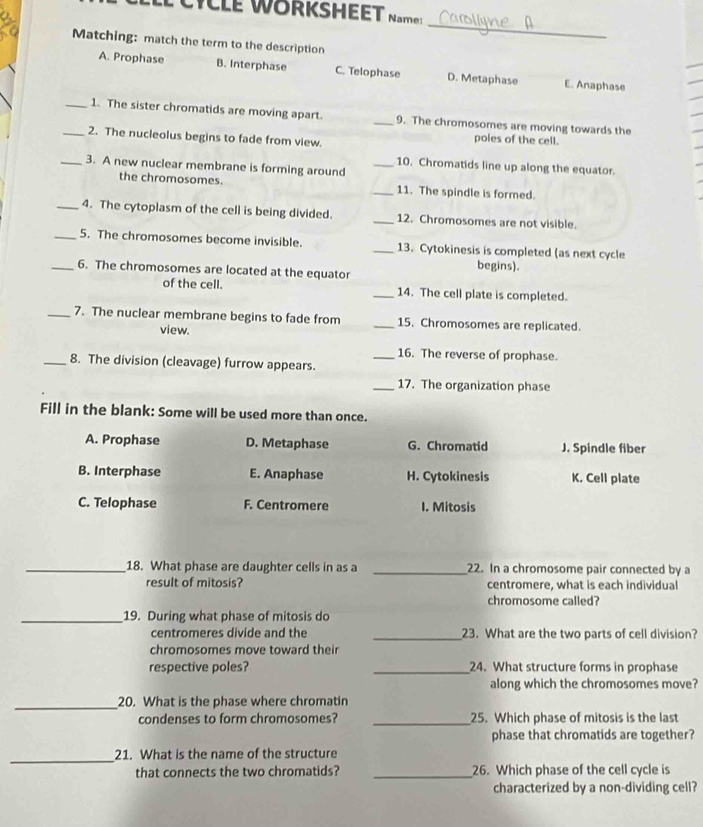 CYCLE WORKSHEET Nam:
_
Matching: match the term to the description
A. Prophase B. Interphase C. Telophase D. Metaphase E. Anaphase
_1. The sister chromatids are moving apart. _9. The chromosomes are moving towards the
_2. The nucleolus begins to fade from view.
poles of the cell.
_3. A new nuclear membrane is forming around
_10. Chromatids line up along the equator.
the chromosomes. _11. The spindle is formed.
_4. The cytoplasm of the cell is being divided. _12. Chromosomes are not visible.
_5. The chromosomes become invisible. _13. Cytokinesis is completed (as next cycle
begins).
_6. The chromosomes are located at the equator
of the cell. _14. The cell plate is completed.
_7. The nuclear membrane begins to fade from _15. Chromosomes are replicated.
view.
_16. The reverse of prophase.
_8. The division (cleavage) furrow appears.
_17. The organization phase
Fill in the blank: Some will be used more than once.
A. Prophase D. Metaphase G. Chromatid J. Spindle fiber
B. Interphase E. Anaphase H. Cytokinesis K. Cell plate
C. Telophase F. Centromere I. Mitosis
_18. What phase are daughter cells in as a _22. In a chromosome pair connected by a
result of mitosis? centromere, what is each individual
chromosome called?
_19. During what phase of mitosis do
centromeres divide and the _23. What are the two parts of cell division?
chromosomes move toward their
respective poles? _24. What structure forms in prophase
along which the chromosomes move?
_20. What is the phase where chromatin
condenses to form chromosomes? _25. Which phase of mitosis is the last
phase that chromatids are together?
_
21. What is the name of the structure
that connects the two chromatids? _26. Which phase of the cell cycle is
characterized by a non-dividing cell?