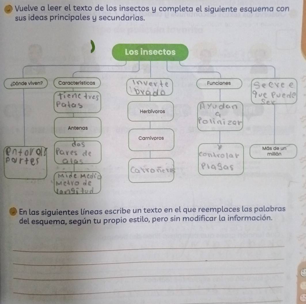 Vuelve a leer el texto de los insectos y completa el siguiente esquema con 
sus ideas principales y secundarias. 
Los insectos 
¿Dónde viven? Características Funciones Seeves 
Fü Pu 
Herbívoros 
Antenas 
Carnívoros 
Más de un 
millón 
En las siguientes líneas escribe un texto en el que reemplaces las palabras 
del esquema, según tu propio estilo, pero sin modificar la información. 
_ 
_ 
_ 
_