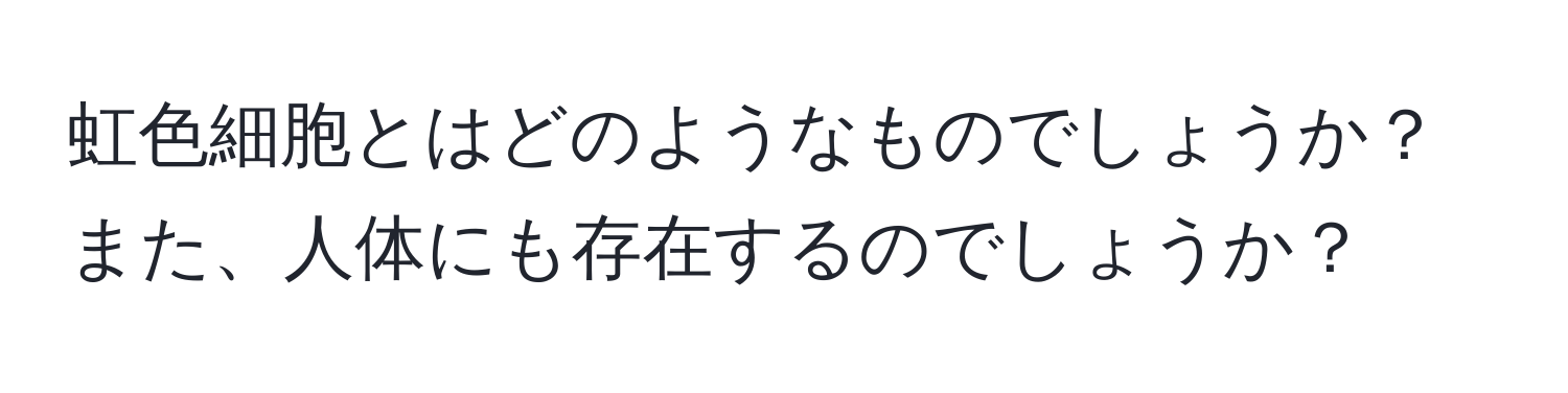 虹色細胞とはどのようなものでしょうか？また、人体にも存在するのでしょうか？