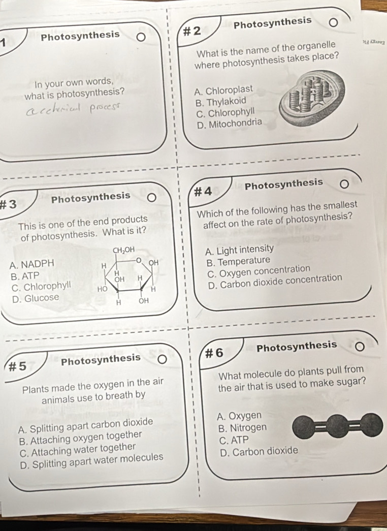 Photosynthesis # 2 Photosynthesis
What is the name of the organelle > g
where photosynthesis takes place?
In your own words,
what is photosynthesis? A. Chloroplast
B. Thylakoid
C. Chlorophyll
D. Mitochondria
#4
# 3 Photosynthesis Photosynthesis
This is one of the end products Which of the following has the smallest
of photosynthesis. What is it? affect on the rate of photosynthesis?
CH₂OH
A. NADPH H OH A. Light intensity
B. ATP B. Temperature
OH H C. Oxygen concentration
H
D. Glucose D. Carbon dioxide concentration
C. Chlorophyll HO H
H OH
# 6
#5 Photosynthesis Photosynthesis
Plants made the oxygen in the air What molecule do plants pull from
animals use to breath by the air that is used to make sugar?
A. Splitting apart carbon dioxide
A. Oxygen
B. Nitrogen
B. Attaching oxygen together
C. Attaching water together C. ATP
D. Splitting apart water molecules D. Carbon dioxide