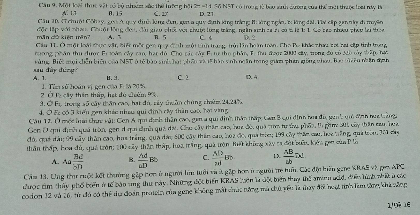 Một loài thực vật có bộ nhiễm sắc thể lưỡng bội 2n=14 S. Số NST có trong tế bào sinh dưỡng của thể một thuộc loài này là
A. 13 B. 15 C. 27 D. 23
Câu 10. Ở chuột Côbay, gen A quy định lông đen, gen a quy định lông trắng; B: lông ngắn, b: lông dài. Hai cặp gen này di truyền
độc lập với nhau. Chuột lông đen, dài giao phối với chuột lông trắng, ngắn sinh ra Fi có tỉ lệ 1:1 Có bao nhiêu phép lai thỏa
mãn dữ kiện trên? A. 3 B. 5 C. 4 D. 2.
Câu 11. Ở một loài thực vật, biết một gen quy định một tính trạng, trội lăn hoàn toàn. Cho 4° v khác nhau bởi hai cặp tính trạng
      
tương phản thu được F1 toàn cây cao, hạt đỏ. Cho các cây F_1 tự thụ phấn, F_2 thu được 2000 cây, trong đó có 320 cây thấp, hạt
vàng. Biết mọi diễn biến của NST ở tế bào sinh hạt phấn và tế bào sinh noãn trong giảm phân giống nhau. Bao nhiêu nhận định
sau đây đúng?
A. 1. B. 3. C. 2 D. 4.
1. Tân số hoán vị gen của F_1 là 20%.
2. dot OF_2 cây thân thấp, hạt đỏ chiếm 9%.
3. sigma F_2, trong số cây thân cao, hạt đỏ, cây thuần chúng chiếm 24,24%.
4. dot OF_2 có 3 kiểu gen khác nhau qui định cây thân cao, hạt vàng
Câu 12. Ở một loài thực vật: Gen A qui định thân cao, gen a qui định thân thấp; Gen B qui định hoa đỏ, gen b qui định hoa trắng;
Gen D qui định quả tròn, gen d qui định quả dài. Cho cây thân cao, hoa đỏ, quả tròn tự thụ phấn, F1 gồm: 301 cây thân cao, hoa
đỏ, quả dài; 99 cây thân cao, hoa trắng, quả dài; 600 cây thân cao, hoa đỏ, quả tròn; 199 cây thân cao, hoa trắng, quá tròn; 301 cây
thân thấp, hoa đỏ, quá tròn; 100 cây thân thấp, hoa trắng, quả tròn. Biết không xảy ra đột biến, kiểu gen của P là
A. Aa Bd/bD .  Ad/aD Bb
B.
C.  AD/ad Bb.  AB/ab Dd.
D.
Câu 13. Ung thư ruột kết thường gặp hơn ở người lớn tuổi và ít gặp hơn ở người trẻ tuổi. Các đột biến gene KRAS và gen APC
được tìm thấy phố biến ở tế bào ung thu này. Những đột biến KRAS luôn là đột biến thay thế amino acid, điển hình nhất ở các
codon 12 và 16, từ đó có thể dự đoán protein của gene không mất chức năng mà chủ yếu là thay đổi hoạt tính làm tăng khả năng
1/Đề 16