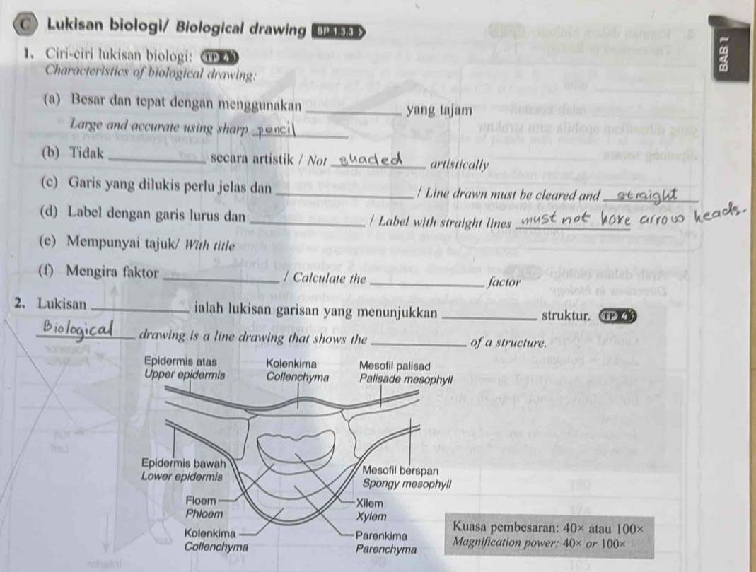 Lukisan biologi/ Biological drawing ( 
1、 Ciri-ciri lukisan biologi: ① 
Characteristics of biological drawing: 
(a) Besar dan tepat dengan menggunakan_ 
yang tajam 
Large and accurate using sharp_ 
(b) Tidak _secara artistik / Not _artistically 
(c) Garis yang dilukis perlu jelas dan _/ Line drawn must be cleared and_ 
(d) Label dengan garis lurus dan _/ Label with straight lines_ 
(e) Mempunyai tajuk/ With title 
(f) Mengira faktor _/ Calculate the_ factor 
2. Lukisan _ialah lukisan garisan yang menunjukkan _struktur. ① 43 
_drawing is a line drawing that shows the _of a structure. 
a pembesaran: 40* atau 100*
ification power: 40* or 100*