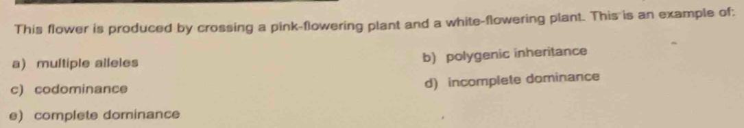 This flower is produced by crossing a pink-flowering plant and a white-flowering plant. This is an example of;
a) multiple alleles
b) polygenic inheritance
c)codominance
d) incomplete dominance
e) complete dominance