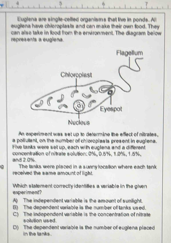 5
6
7
Euglena are single-celled organisms that live in ponds. All
euglena have chioroplasts and can make their own food. They
can alse take in food from the environment. The diagram below
represents a eugiena.
An experiment was set up to determine the effect of nitrates,
a poliulant on the number of chioroplasts present in euglena.
Five tanks were set up, each with euglena and a different
concentration of nitrate solution: 0%, 0.5%, 1.0%, 1.5%,
and 2.0%.
The tanks were placed in a sunny location where each tank
received the same amount of light.
Which statement correctly identifies a variable in the given
experiment?
A) The independent variable is the amount of sunlight.
B) The dependent variable is the number of tanks used.
C) The independent variable is the concentration of nitrate
solution used.
D) The dependent variable is the number of euglena placed
in the tanks .