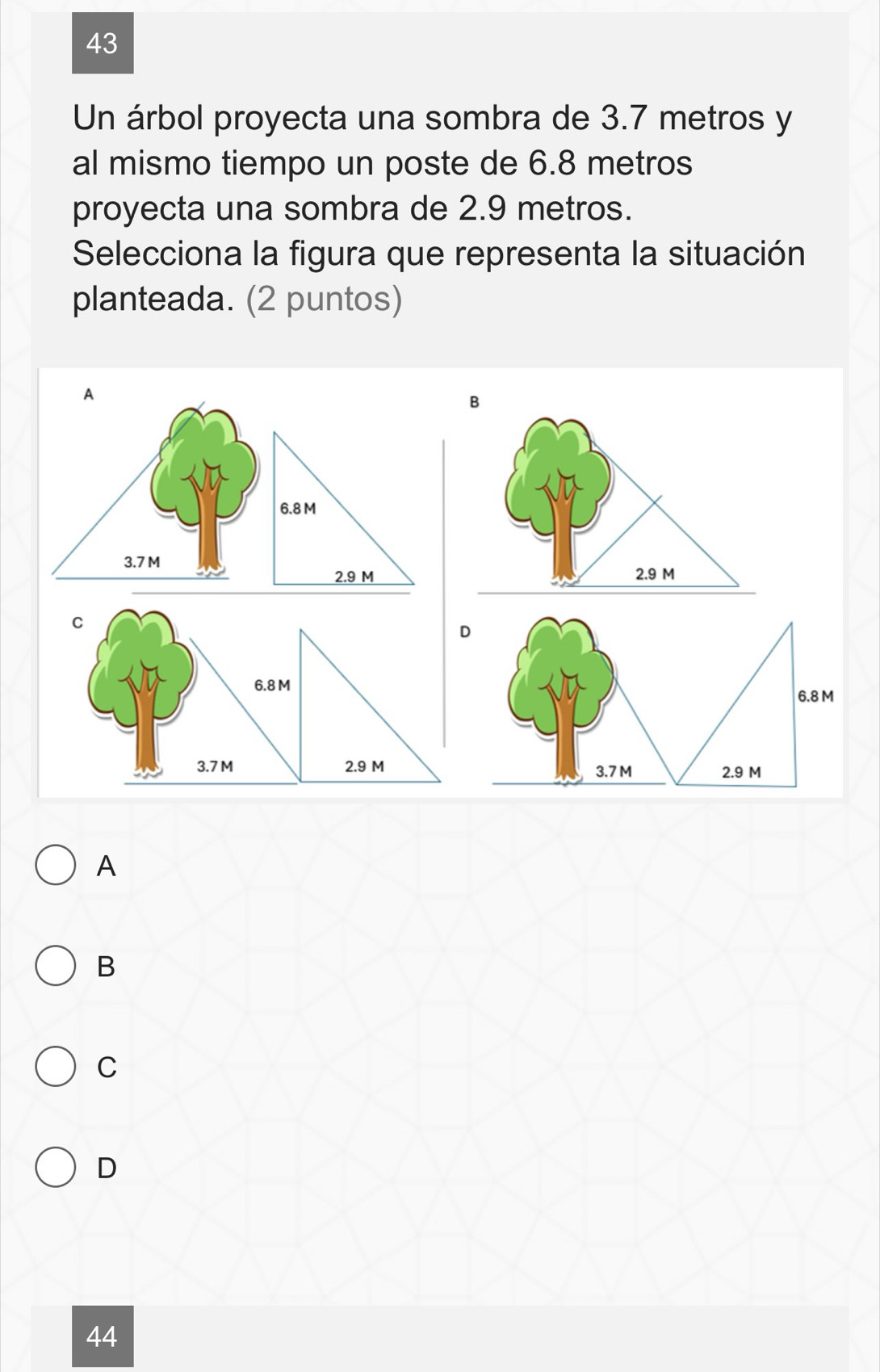 Un árbol proyecta una sombra de 3.7 metros y
al mismo tiempo un poste de 6.8 metros
proyecta una sombra de 2.9 metros.
Selecciona la figura que representa la situación
planteada. (2 puntos)
A
B
6.8 M
3.7 M
2.9 M 2.9 M
D
A
B
C
D
44