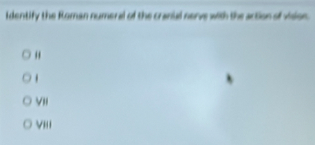 identify the Roman numeral of the cranual nerve with the action of vision.
"
VII
VIII