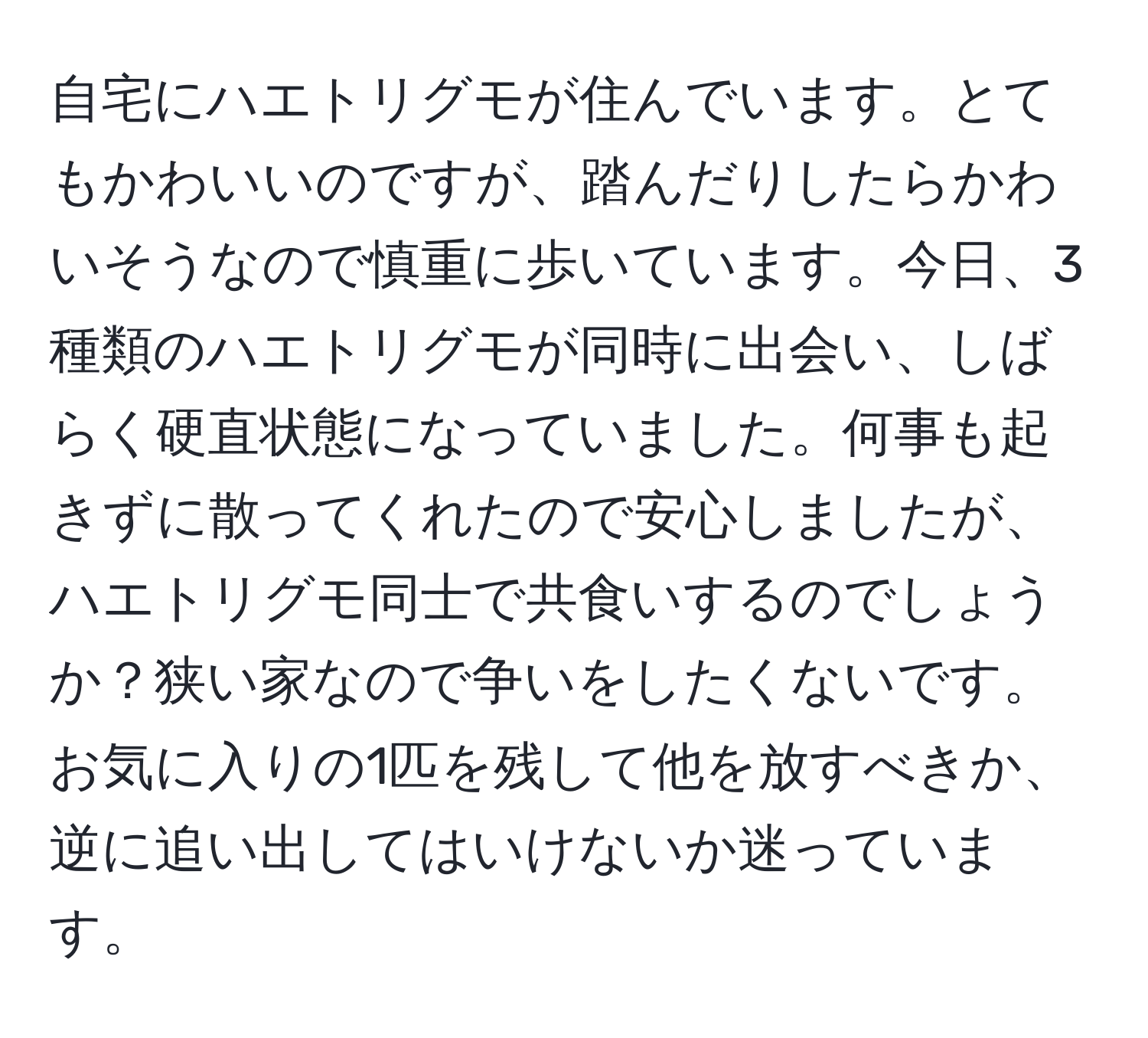 自宅にハエトリグモが住んでいます。とてもかわいいのですが、踏んだりしたらかわいそうなので慎重に歩いています。今日、3種類のハエトリグモが同時に出会い、しばらく硬直状態になっていました。何事も起きずに散ってくれたので安心しましたが、ハエトリグモ同士で共食いするのでしょうか？狭い家なので争いをしたくないです。お気に入りの1匹を残して他を放すべきか、逆に追い出してはいけないか迷っています。