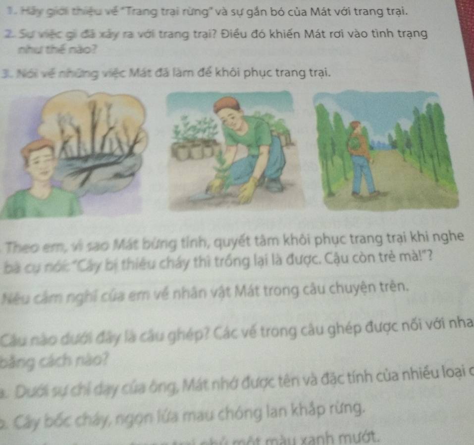 Hảy giới thiệu về 'Trang trai rừng' và sự gắn bó của Mát với trang trại. 
2. Sự việc gi đã xảy ra với trang trại? Điều đó khiến Mát rơi vào tình trạng 
như thể nào? 
3. Nói về những việc Mát đã làm để khôi phục trang trại. 
Theo em, vi sao Mát bừng tỉnh, quyết tâm khôi phục trang trại khi nghe 
bà cụ nói "Cây bị thiêu cháy thì trống lại là được. Cậu còn trẻ mà!"? 
Nếu cảm nghĩ của em về nhân vật Mát trong câu chuyện trên. 
Cầu nào dưới đây là câu ghép? Các về trong câu ghép được nối với nha 
bằng cách nào? 
. Dưới sự chi dạy của ông, Mát nhớ được tên và đặc tính của nhiều loại ở 
2. Cây bốc cháy, ngọn lửa mau chóng lan khắp rừng. 
t màu xanh mướt.