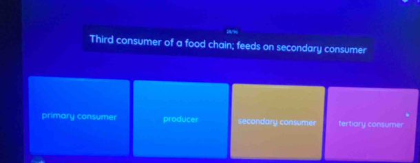 Third consumer of a food chain; feeds on secondary consumer
primary consumer producer secondary consumer tertiary consumer