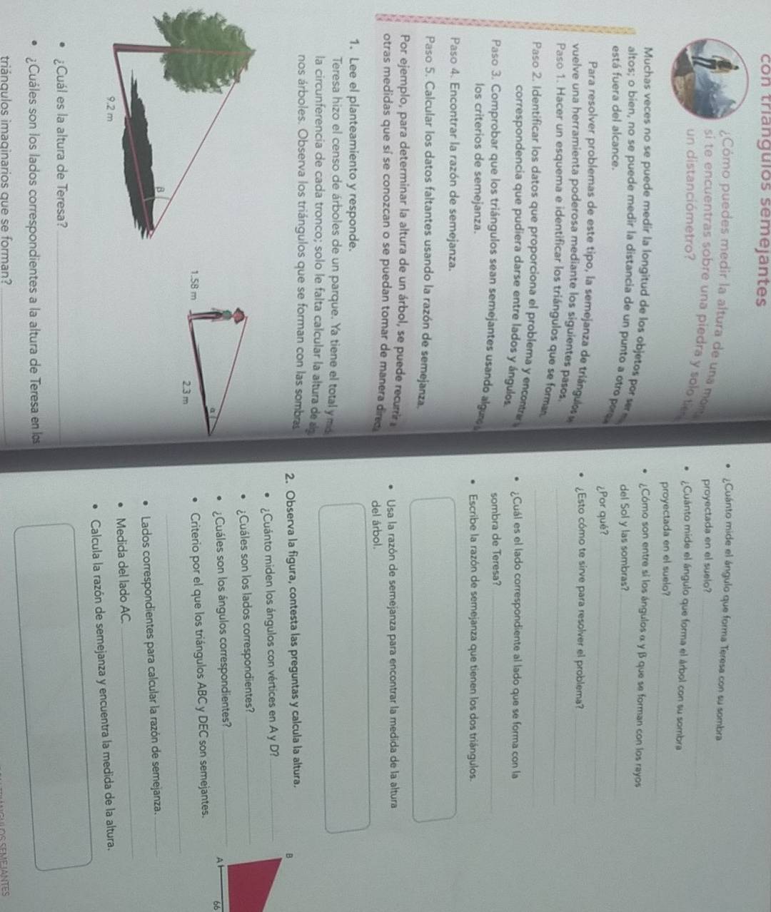 con triangulos semejantes
¿Cuánto mide el ángulo que forma Teresa con su sombra
¿Cómo puedes medir la altura de una mont
proyectada en el suelo?_
si te encuentras sobre una piedra y solo te .
un distanciómetro?  ¿Cuánto mide el ángulo que forma el árbol con su sombra
proyectada en el suelo?_
¿Cómo son entre sí los ángulos α y β que se forman con los rayos
Muchas veces no se puede medir la longitud de los objetos pors m
altos; o bien, no se puede medir la distancia de un punto a otro pere
está fuera del alcance. del Sol y las sombras?_
¿Por qué?_
Para resolver problemas de este tipo, la semejanza de triángulos » ¿Esto cómo te sirve para resolver el problema?_
vuelve una herramienta poderosa mediante los siguientes pasos.
Paso 1. Hacer un esquema e identificar los triángulos que se forman_
Paso 2. Identificar los datos que proporciona el problema y encontrar _¿Cuál es el lado correspondiente al lado que se forma con la
correspondencia que pudiera darse entre lados y ángulos
Paso 3. Comprobar que los triángulos sean semejantes usando algu sombra de Teresa?_
los criterios de semejanza. Escribe la razón de semejanza que tienen los dos triángulos.
Paso 4. Encontrar la razón de semejanza.
Paso 5. Calcular los datos faltantes usando la razón de semejanza.
Por ejemplo, para determinar la altura de un árbol, se puede recurrir 
otras medidas que sí se conozcan o se puedan tomar de manera dired del árbol. Usa la razón de semejanza para encontrar la medida de la altura
1. Lee el planteamiento y responde.
Teresa hizo el censo de árboles de un parque. Ya tiene el total y mis
la circunferencía de cada tronco; solo le falta calcular la altura de a
nos árboles. Observa los triángulos que se forman con las sombras
2. Observa la figura, contesta las preguntas y calcula la altura. 
¿Cuánto miden los ángulos con vértices en A y D?_
¿Cuáles son los lados correspondientes?_
¿Cuáles son los ángulos correspondientes?_
Criterio por el que los triángulos ABC y DEC son semejantes.
_
Lados correspondientes para calcular la razón de semejanza._
Medida del lado AC.
_
Calcula la razón de semejanza y encuentra la medida de la altura.
¿Cuál es la altura de Teresa?_
¿Cuáles son los lados correspondientes a la altura de Teresa en los
triánqulos imaqinarios que se forman?_
I N GUL OS SEME JANTES