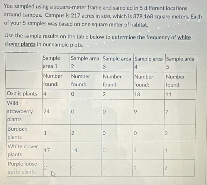 You sampled using a square-meter frame and sampled in 5 different locations 
around campus. Campus is 217 acres in size, which is 878,168 square meters. Each 
of your 5 samples was based on one square meter of habitat. 
Use the sample results on the table below to determine the frequency of white 
clover plants in our sample plots.