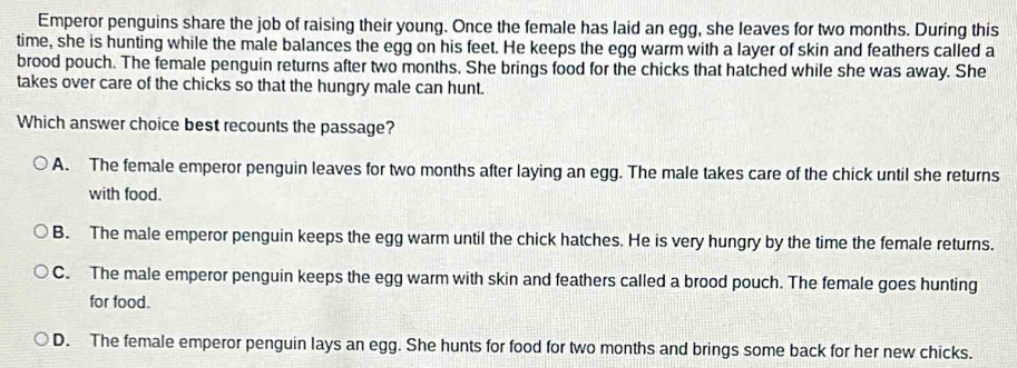 Emperor penguins share the job of raising their young. Once the female has laid an egg, she leaves for two months. During this
time, she is hunting while the male balances the egg on his feet. He keeps the egg warm with a layer of skin and feathers called a
brood pouch. The female penguin returns after two months. She brings food for the chicks that hatched while she was away. She
takes over care of the chicks so that the hungry male can hunt.
Which answer choice best recounts the passage?
A. The female emperor penguin leaves for two months after laying an egg. The male takes care of the chick until she returns
with food.
B. The male emperor penguin keeps the egg warm until the chick hatches. He is very hungry by the time the female returns.
C. The male emperor penguin keeps the egg warm with skin and feathers called a brood pouch. The female goes hunting
for food.
D. The female emperor penguin lays an egg. She hunts for food for two months and brings some back for her new chicks.