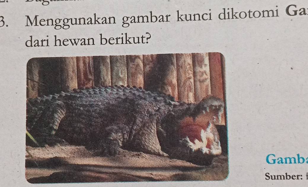 Menggunakan gambar kunci dikotomi Ga 
dari hewan berikut? 
Gamb 
Sumber: