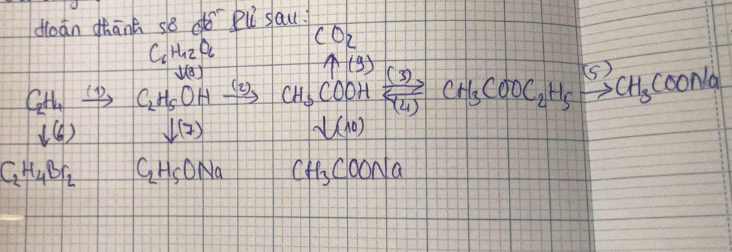 doān thānh so do Pu sau?
beginarrayr C_6H_12O_6 V(3)endarray
CO_2
C_2H_4xrightarrow (1)C_2H_5OHxrightarrow (2) CH_3COOHxrightarrow [SO_4](3)CH_3COOC_2H_5xrightarrow (5)CH_3COONa
f(6)
downarrow (7)
V(10)
C_2H_4Br_2 C_2H_5ONa CH_3COONa