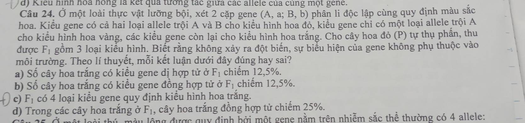 d) Kiểu hình hoa hồng là kết quả tướng tác giữa các allele của cùng một gene.
Câu 24. Ở một loài thực vật lưỡng bội, xét 2 cặp gene * (A, a; B, b) phân li độc lập cùng quy định màu sắc
hoa. Kiểu gene có cả hai loại allele trội A và B cho kiểu hình hoa đỏ, kiểu gene chỉ có một loại allele trội A
cho kiểu hình hoa vàng, các kiểu gene còn lại cho kiểu hình hoa trắng. Cho cây hoa đỏ (P) tự thụ phần, thu
được F_1 gồm 3 loại kiểu hình. Biết rằng không xảy ra đột biến, sự biểu hiện của gene không phụ thuộc vào -5
môi trường. Theo lí thuyết, mỗi kết luận dưới đây đúng hay sai?
a) Số cây hoa trắng có kiểu gene dị hợp tử ở F_1 chiếm 12, 5%.
b) Số cây hoa trắng có kiểu gene đồng hợp tử ở F_1 chiếm 12, 5%.
c) F_1 có 4 loại kiểu gene quy định kiểu hình hoa trắng.
d) Trong các cây hoa trắng ở F_1 , cây hoa trắng đồng hợp tử chiếm 25%.
Su lộng được quy định bởi một gene nằm trên nhiễm sắc thể thường có 4 allele: