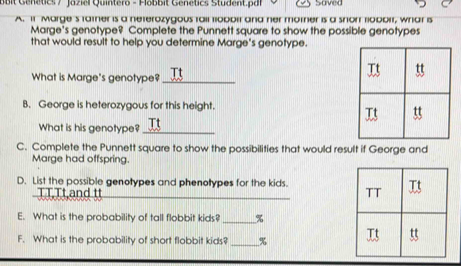 obit Genetics / Jaziel Quintero - Flobbit Genetics Student.p| Saved 
A. It Marge's tather is a neterozygous tail tobbit and her mother is a snorr fiobbit, whar is 
Marge's genotype? Complete the Punnett square to show the possible genotypes 
that would result to help you determine Marge's genotype. 
What is Marge's genotype?_ 
B. George is heterozygous for this height. 
What is his genotype?_ 
C. Complete the Punnett square to show the possibilities that would result if George and 
Marge had offspring. 
D. List the possible genotypes and phenotypes for the kids. 
TTTt and tt _ 
E. What is the probability of tall flobbit kids? _% 
F. What is the probability of short flobbit kids? _ %