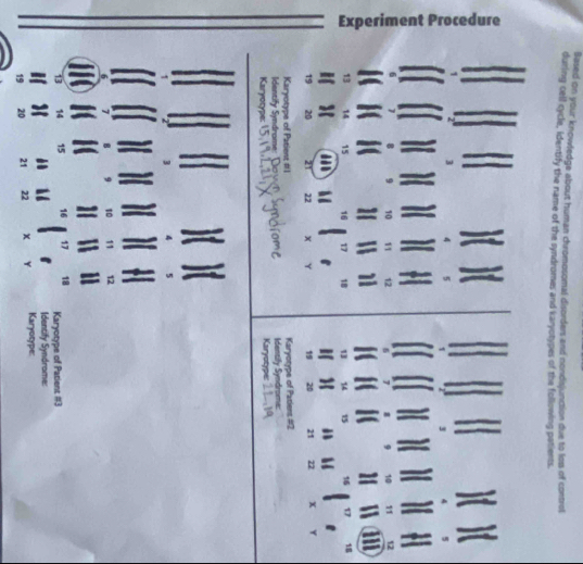 Experiment Procedure 
4 
× 
× 
6 
o 
×