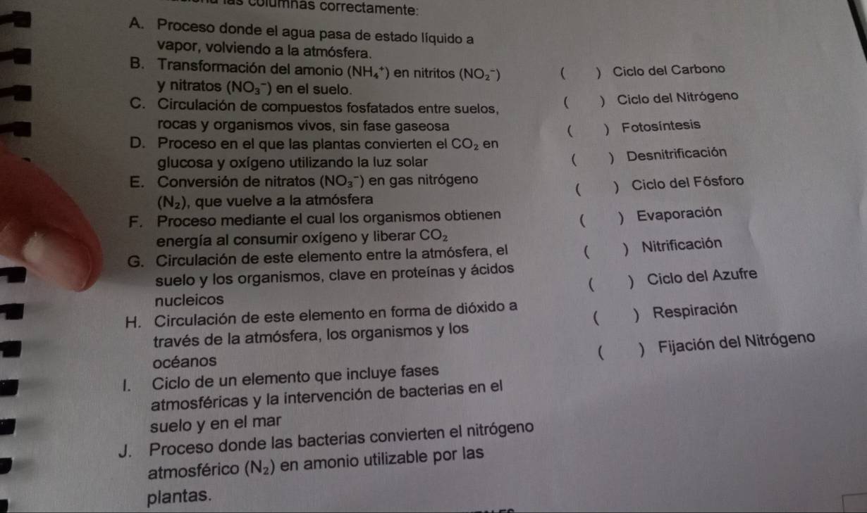 Más columnas correctamente:
A. Proceso donde el agua pasa de estado líquido a
vapor, volviendo a la atmósfera.
B. Transformación del amonio (NH_4^(+) en nitritos (NO_2^-) ( ) Ciclo del Carbono
y nitratos (NO_3^-) en el suelo.
C. Circulación de compuestos fosfatados entre suelos, ( ) Ciclo del Nitrógeno
rocas y organismos vivos, sin fase gaseosa ) Fotosíntesis

D. Proceso en el que las plantas convierten el CO_2) en
glucosa y oxígeno utilizando la luz solar ( ) Desnitrificación
E. Conversión de nitratos (NO_3^(-) en gas nitrógeno
(
(N_2)) , que vuelve a la atmósfera ) Ciclo del Fósforo
F. Proceso mediante el cual los organismos obtienen
( )Evaporación
energía al consumir oxígeno y liberar CO_2
G. Circulación de este elemento entre la atmósfera, el
( ) Nitrificación
suelo y los organismos, clave en proteínas y ácidos
 ) Ciclo del Azufre
nucleicos
H. Circulación de este elemento en forma de dióxido a
(
través de la atmósfera, los organismos y los ) Respiración
 ) Fijación del Nitrógeno
océanos
I. Ciclo de un elemento que incluye fases
atmosféricas y la intervención de bacterias en el
suelo y en el mar
J. Proceso donde las bacterias convierten el nitrógeno
atmosférico (N_2) en amonio utilizable por las
plantas.