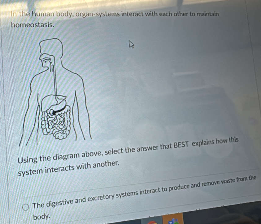 In the human body, organ-systems interact with each other to maintain 
homeostasis. 
Using the diagram above, select the answer that BEST explains how this 
system interacts with another. 
The digestive and excretory systems interact to produce and remove waste from the 
body.