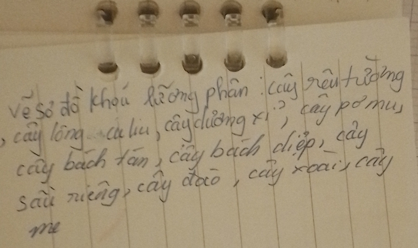 veso do khou Rāōng phān cān pēu figing 
cay lèng culiù cāyclioing xi tay porhu 
cay bach xān) cay bāch diep, dòy 
sai muing, cay dào, cay xoary cay 
me