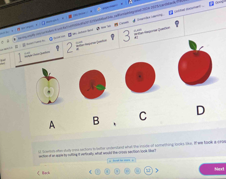 slope meanin × 
Untitled document 
learning.arplify.com/curriculum/@/unit/8a31e0f9506c8fa201525fa684ba654a_californiaintegrated;2024-2025/cardstack/ff8b 
Google 
2425 Stw X | Ilyer Langua Warm ups 9 × DBQ Online ! 
Mrs. Jackson Band New Tab Classes DreamBox Learning. 
CLASS 
Written-Response Question Written-Response Question 
CLASS 3 #2 
ade Math/ELA Student Fluency As... Quiziet icon 
#I 
CLABS 
6es) Multiple-Choice Questions 2 
Brief 
C 
D 
A 
B 
12. Scientists often study cross sections to better understand what the inside of something looks like. If we took a cro 
section of an apple by cutting it vertically, what would the cross section look like? 
↓ Scroll for more 
Back
7 8 9 10 11 12 Next