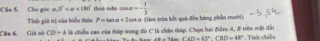 Cho góc alpha , 0° <180° thoá mãn cos alpha =- 1/3 . 
Tính giá trị của biểu thức P=tan alpha +2cot alpha (làm tròn kết quả đến hàng phần mười) 
Câu 6. Giả sử CD=h là chiều cao của tháp trong đó C là chân tháp. Chọn hai điểm A, B trên mặt đất
AB=24m. CAD=63° : CBD=48°. Tính chiều