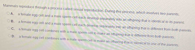 Mammals reproduce through a process called sexual reproduction. During this process, which involves two parents,
A. a female egg cell and a male sperm cell each develop separately into an offspring that is identical to its parent.
B. a female egg cell and a male sperm cell each develop separately into an offspring that is different from both parents.
C. a female egg cell combines with a male sperm cell to make an offspring that is different from both parents.
D. a female egg cell combines with a male sperm cell to make an offspring that is identical to one of the parents.