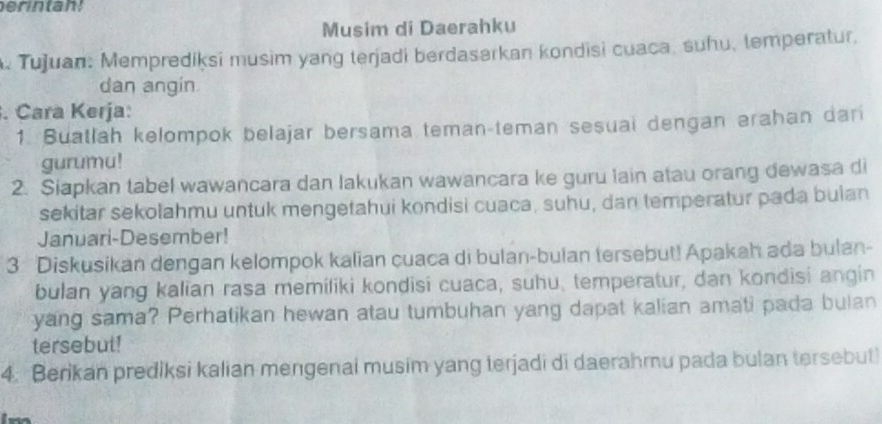 Musim di Daerahku 
. Tujuan: Memprediksi musim yang terjadi berdasarkan kondisi cuaca, suhu, temperatur, 
dan angin 
. Cara Kerja: 
1. Buatlah kelompok belajar bersama teman-teman sesuai dengan erahan dari 
gurumu! 
2. Siapkan tabel wawancara dan lakukan wawancara ke guru lain atau orang dewasa di 
sekitar sekolahmu untuk mengetahui kondisi cuaca, suhu, dan temperatur pada bulan 
Januari-Desember! 
3 Diskusikan dengan kelompok kalian cuaca di bulan-bulan tersebut! Apakah ada bulan- 
bulan yang kalian rasa memiliki kondisi cuaca, suhu, temperatur, dan kondisi angin 
yang sama? Perhatikan hewan atau tumbuhan yang dapat kalian amati pada bulan 
tersebut! 
4. Berikan prediksi kalian mengenai musim yang terjadi di daerahmu pada bulan tersebut!