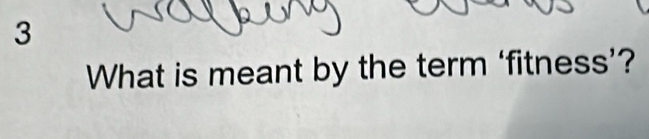 What is meant by the term ‘fitness’?