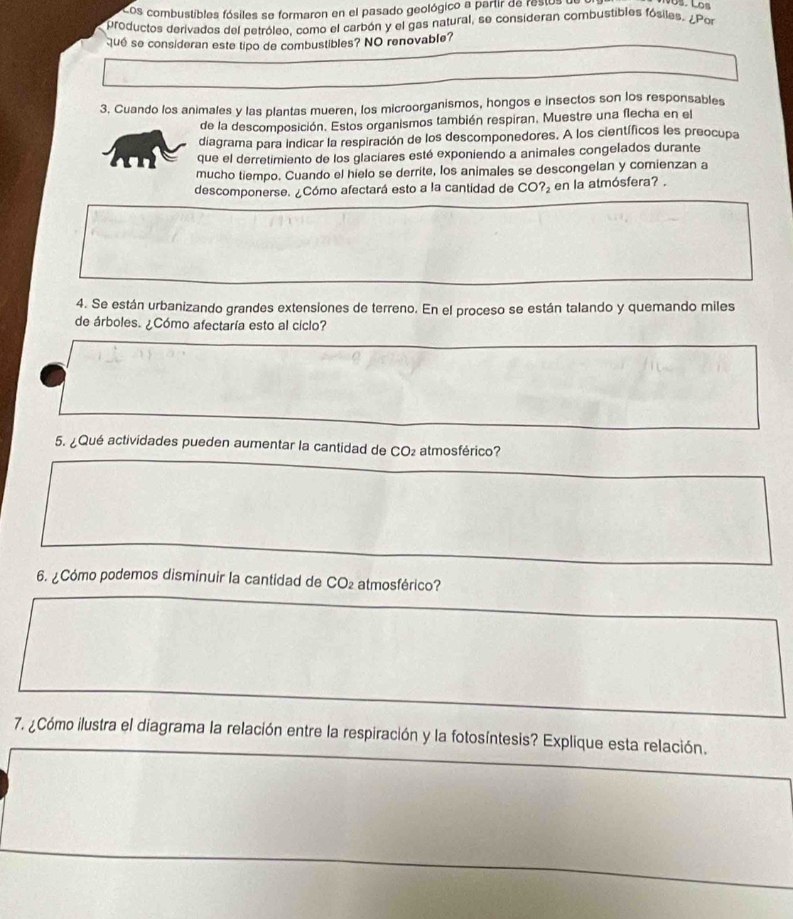 Cos combustibles fósiles se formaron en el pasado geológico a partir de restos u 
productos derivados del petróleo. como el carbón y el gas natural, se consideran combustibles fósiles. ¿Por 
qué se consideran este tipo de combustibles? NO renovable? 
3. Cuando los animales y las plantas mueren, los microorganismos, hongos e insectos son los responsables 
de la descomposición. Estos organismos también respiran, Muestre una flecha en el 
diagrama para indicar la respiración de los descomponedores. A los científicos les preocupa 
que el derretimiento de los glacíares esté exponiendo a animales congelados durante 
mucho tiempo. Cuando el hielo se derrite, los animales se descongelan y comienzan a 
descomponerse. ¿Cómo afectará esto a la cantidad de CO?_2 en la atmósfera? . 
4. Se están urbanizando grandes extensiones de terreno. En el proceso se están talando y quemando miles 
de árboles. ¿Cómo afectaría esto al ciclo? 
5. ¿Qué actividades pueden aumentar la cantidad de CO₂ atmosférico? 
6. ¿Cómo podemos disminuir la cantidad de CO_2 atmosférico? 
7. ¿Cómo ilustra el diagrama la relación entre la respiración y la fotosíntesis? Explique esta relación.